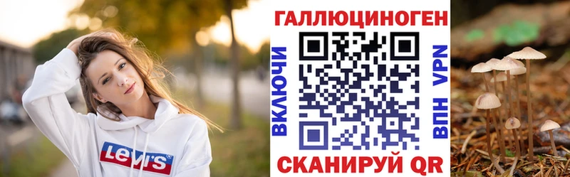 сколько стоит  Пущино  Галлюциногенные грибы Cubensis 