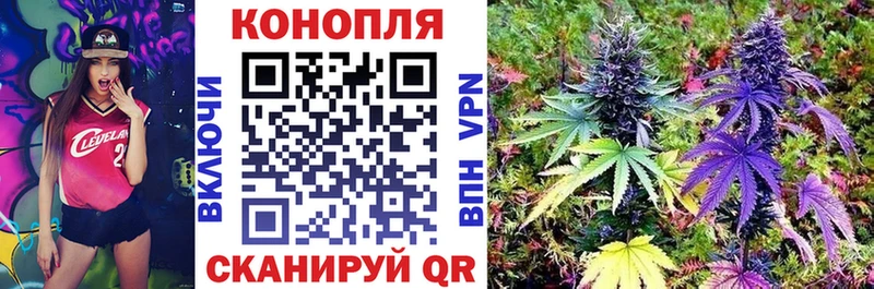 Шишки марихуана сатива  Пущино 